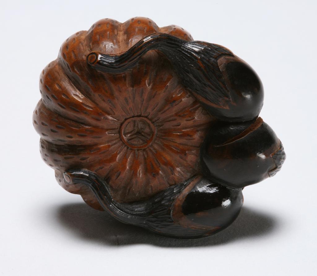 An image of Netsuke: katabori: Pumpkin and three egg plants. Tomonobu, Japan. A grouping of a pumpkin and three egg plants, the latter with stained black detailing. The stalk of the pumpkin forms the himotoshi. Wood, carved and partly stained, height, whole, 2.0 cm
width, whole, 4.3 cm, circa 1770-1830. Edo Period (1615-1868).