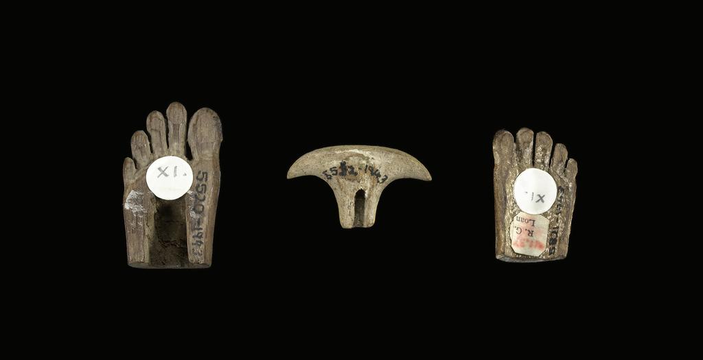 An image of Part of a left foot. Production Place: Egypt. Wood, height 0.012 m, length 0.029 m, width 0.015 m.
