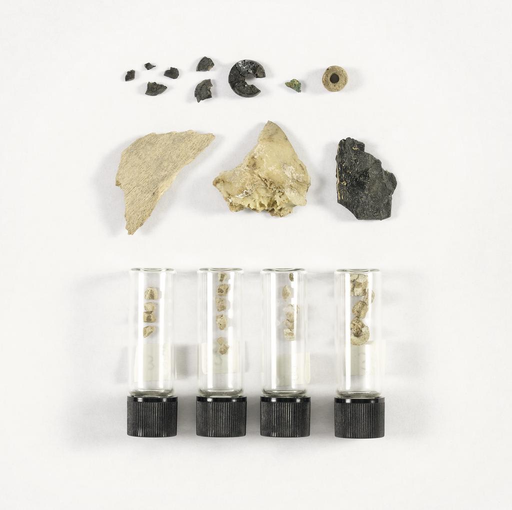 An image of Organic remains. Miscellaneous remains. Teeth, fragments from sheep/goats (5). Find Spot: Tomb IV Geoy Tepe. Circa 2000-1200 B.C.