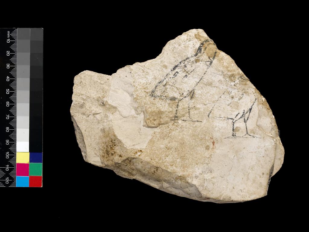 An image of Written Document. Ostracon, figured. Quail chicks on one side, inscribed on other side. Production Place/Find Spot: Egypt. Limestone, length 0.127 m, width 0.172 m. Nineteenth Dynasty. New Kingdom.