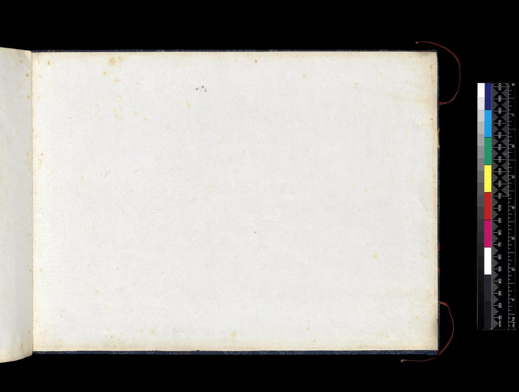 An image of Album. Birds. Youqua (Chinese, ac.1840-1870). Album containing 12 watercolours on pith paper, 4171. Production Note: Export album made for the Western market.