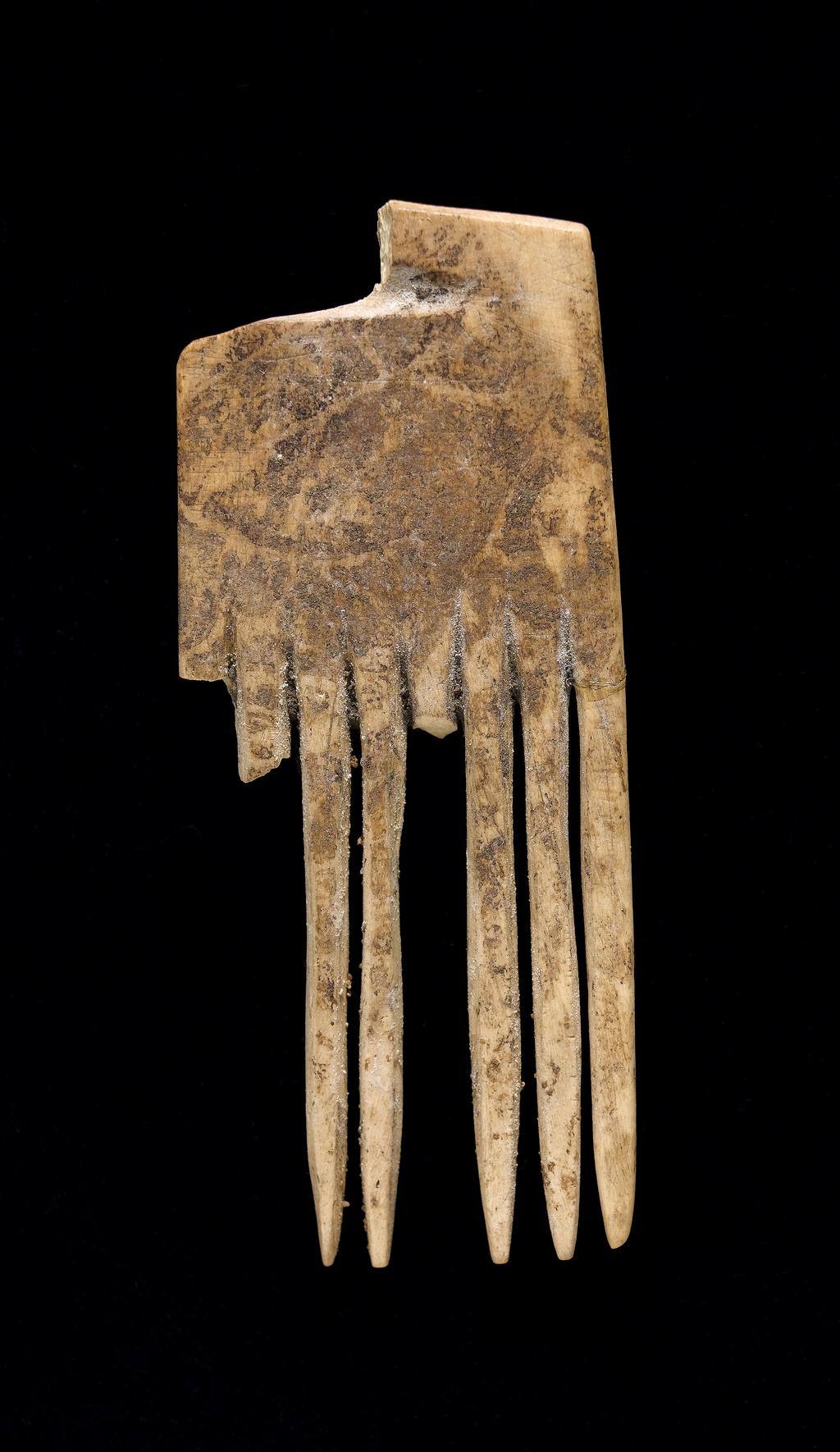An image of Cosmetic equipment. Comb. Production Place: Egypt. Find Spot: Hierakonpolis, Egypt; 234. Ivory, carved, diameter, 0.065 m. Predynastic.