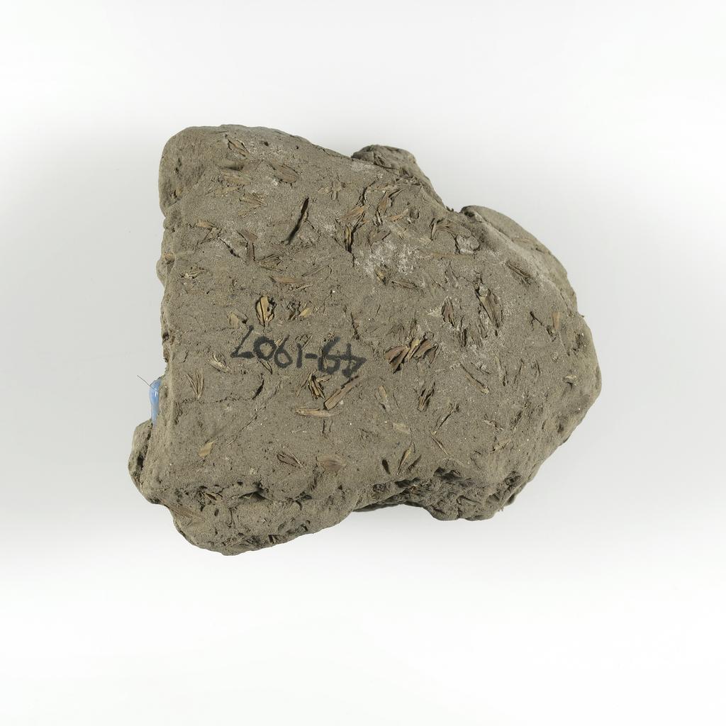 An image of Jewellery. Beads, embedded in mud. Find Spot: Thebes (Egypt), Deir el-Bahri. Height 0.07 m. Eighteenth Dynasty. New Kingdom.