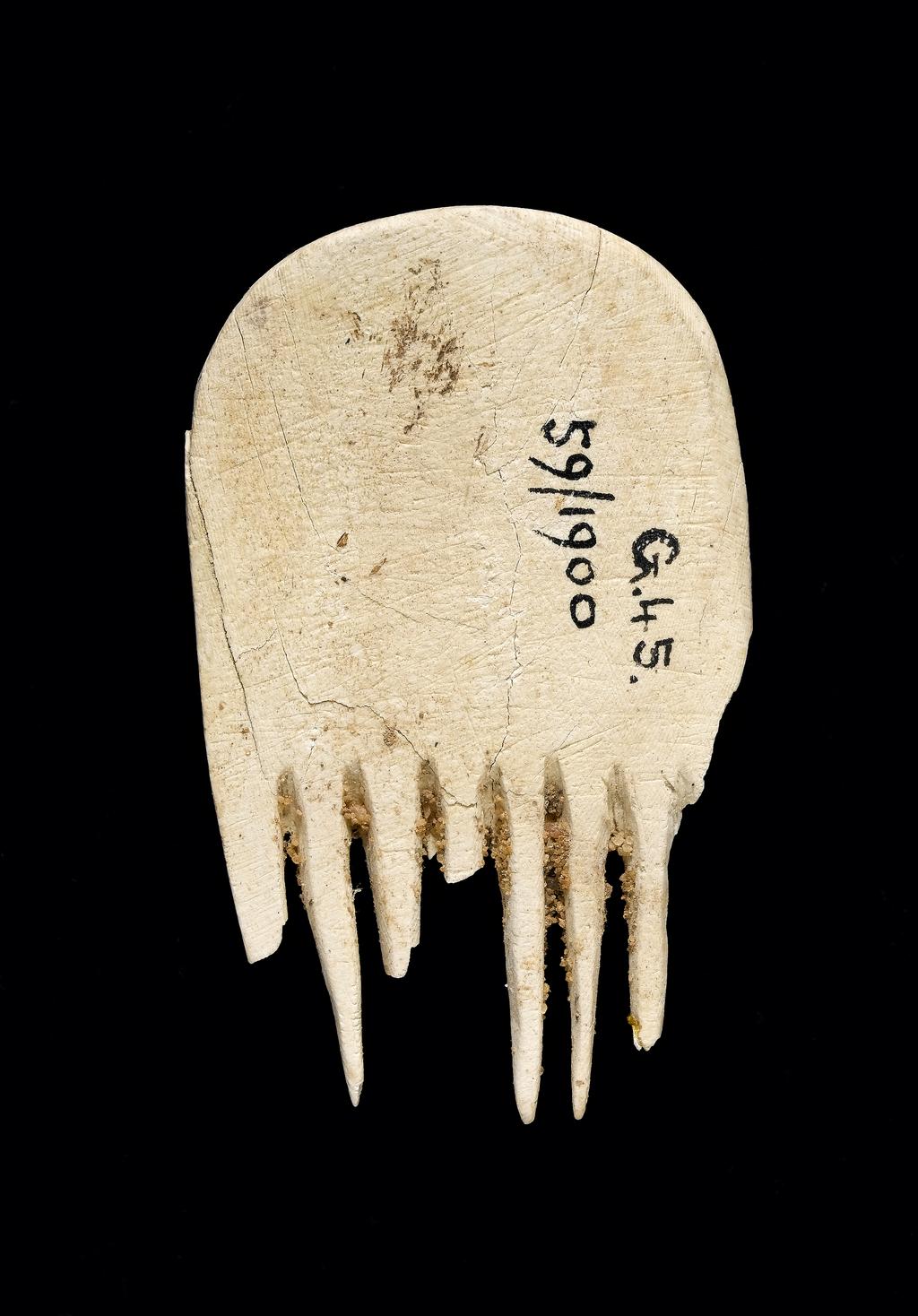 An image of Cosmetic equipment. Comb, with seven teeth of which only three are intact. Production Place: Egypt. Find Spot: Abydos; G45. Ivory, carved. First Dynasty, Archaic period.