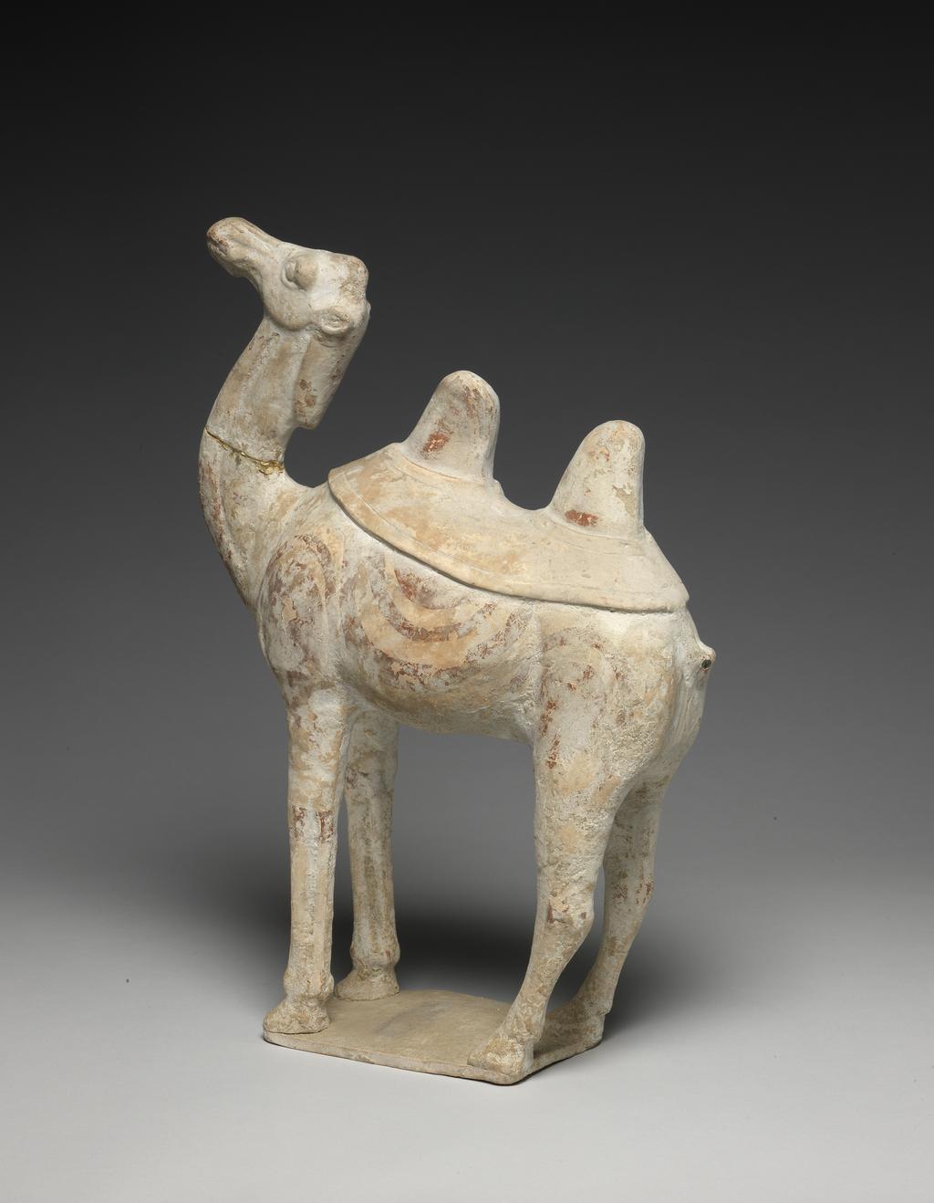 An image of Bactrian camel. Unknown maker, China. Its thick padded feet stand on a small rectangular base, and a felt saddle blanket surrounds its double humps. On its tail is a touch of lead glaze. Unglazed, moulded white earthenware covered in white slip, with traces of black, white and red paint, height, 38.1 cm, circa 618-906. Tang Dynasty (618-907).