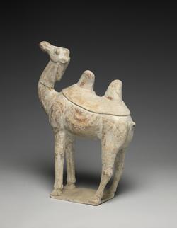 An image of Camel