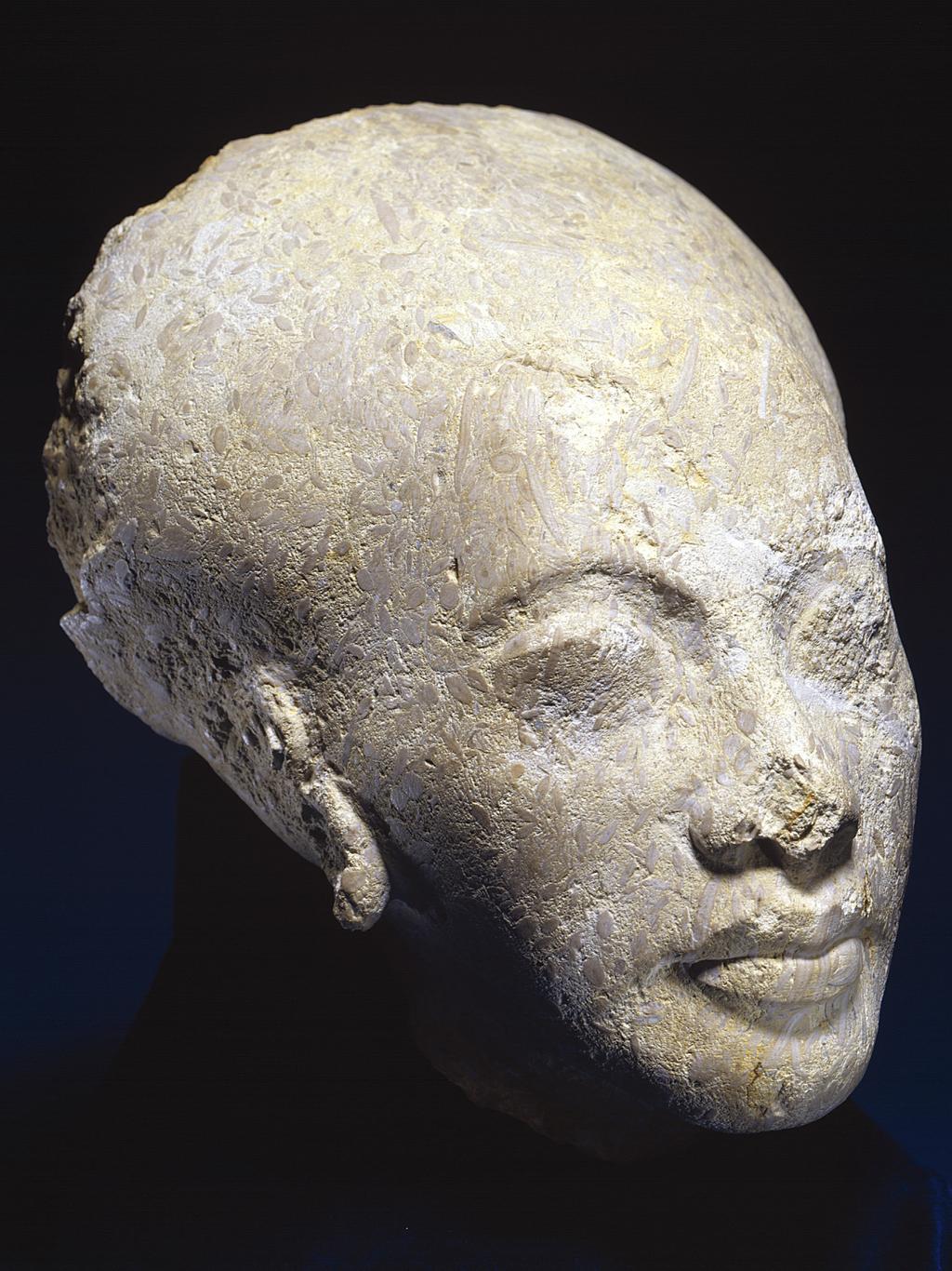 An image of Figure. Statue/stelae. Representing the head of the principle royal wife, Nefertiti, or a princess. Production Place/Find Spot: Egypt. Carved sandstone or limestone, length 29 cm, width 17 cm, circa 1352 B.C. to circa 1336 B.C. Eighteenth Dynasty, New Kingdom.