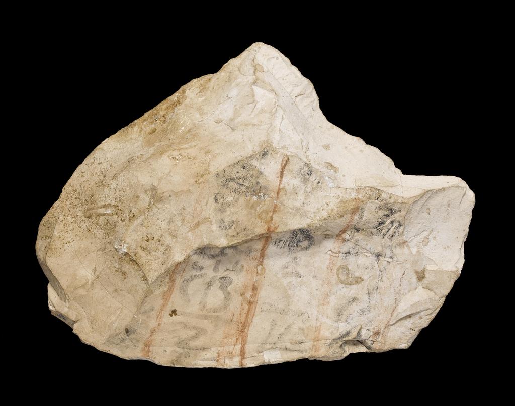 An image of Written Document. Ostracon, figured. Quail chicks on one side, inscribed on other side. Production Place/Find Spot: Egypt. Limestone, length 0.127 m, width 0.172 m. Nineteenth Dynasty. New Kingdom.