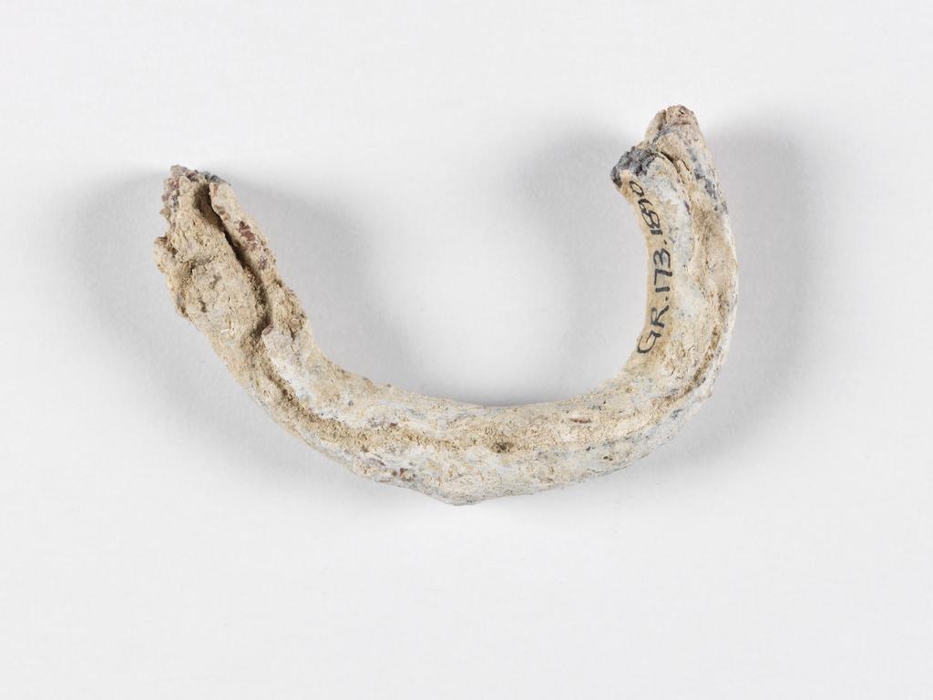 An image of Jewellery. Coil. Find Spot: Poli, Cyprus. Lead, depth 0.006 m, width 0.036 m. Archaic Period.