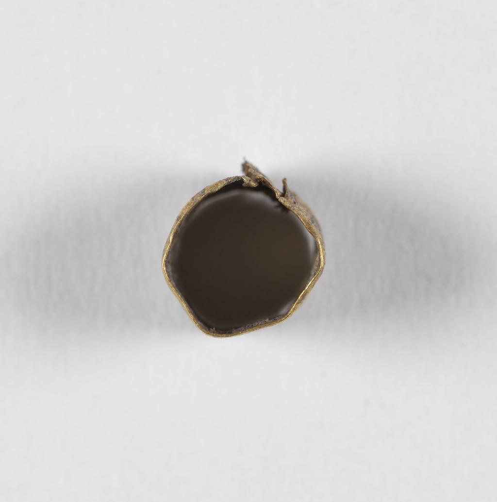 An image of Jewellery. Band. Find Spot: Cyprus. Gold, height 0.005 m, width 0.005 m. Classical Period.