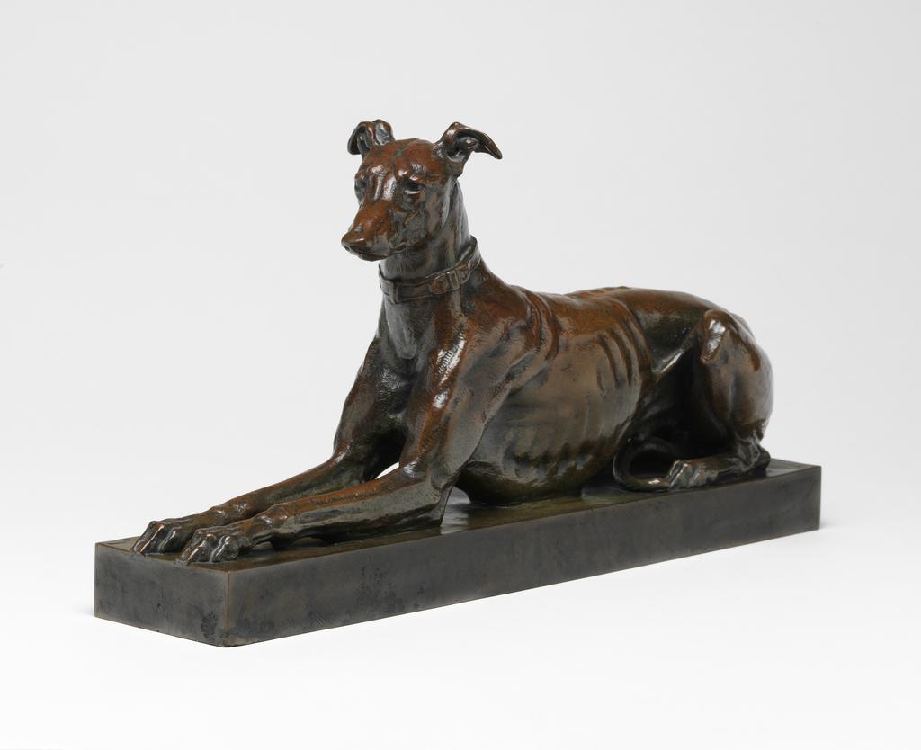 An image of An Algerian Greyhound, couched. Barye, Antoine Louis (French, 1796-1875). Bronze. Sir Ivor and Lady Batchelor Bequest.