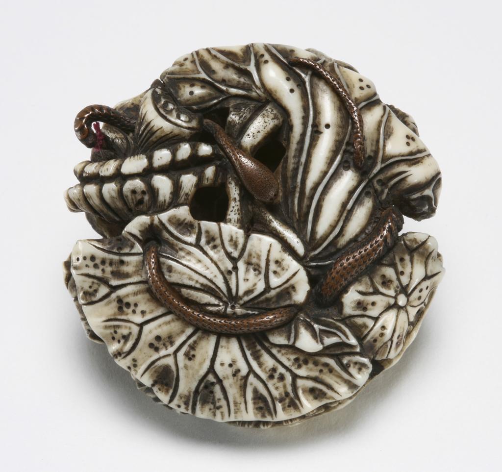 An image of Netsuke. Manju. A lotus plant with a snake entwined in it. Unknown maker, Japan. Ivory, stained and carved, metal (bronze or copper), diameter 5 cm. Acquisition Credit: Marlay Bequest.