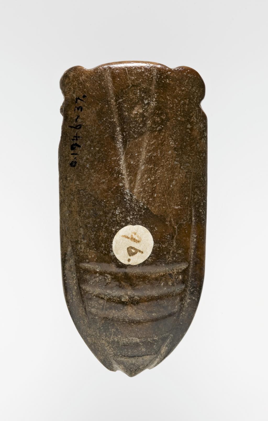 An image of Carving. Brown jade with altered areas, carved in the shape of a cicada with simple lines. Two perforations drilled on the top edge between the eyes. Nephrite, length 6.2, cm, width 2.9 cm, 1368-1644 AD, Chinese.