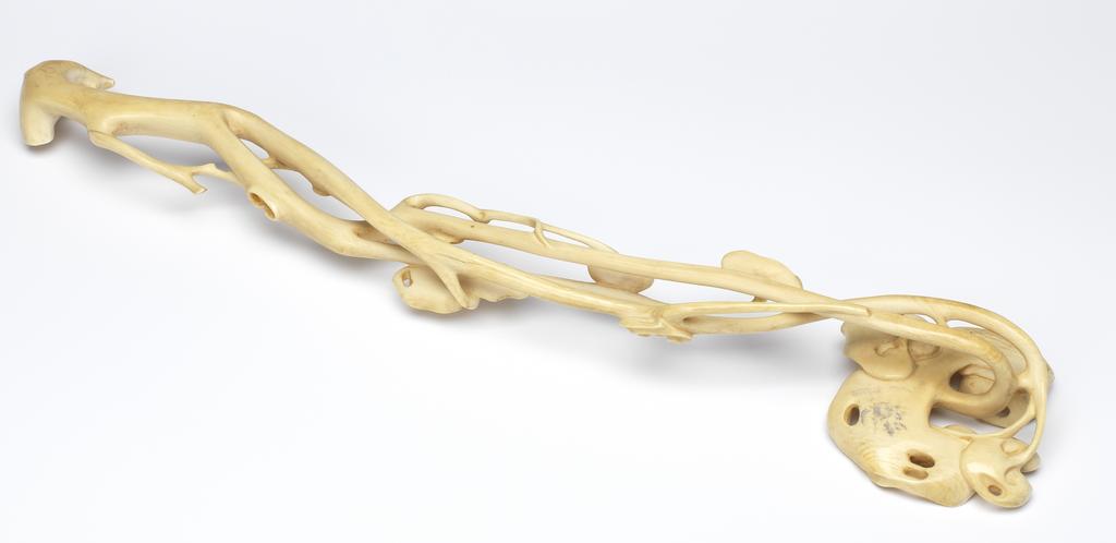 An image of Ruyi sceptre, in openwork with lingzhi fungi. Production Place: China. Ivory, carved. 18th century. Sir Victor Sassoon Chinese Ivories Trust.