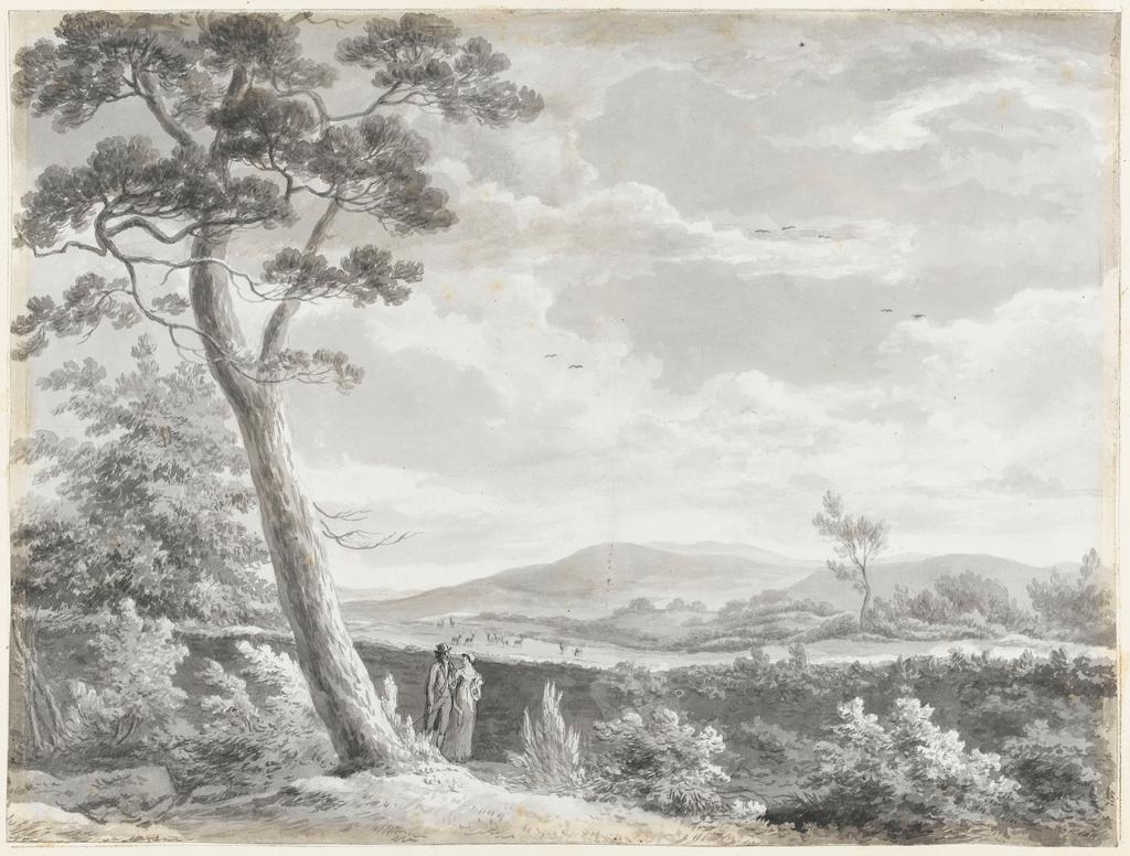An image of Title/s: Mount Merrion: view from the rear of the fir grove (pag. 13) Maker/s: Ashford, William (draughtsman) [ULAN info: British artist, 1746-1824]Technique Description: grey wash on paper laid down on hollow mounts and bound with backing sheets Dimensions: height: 320 mm, width: 430 mmDate: 1806  
