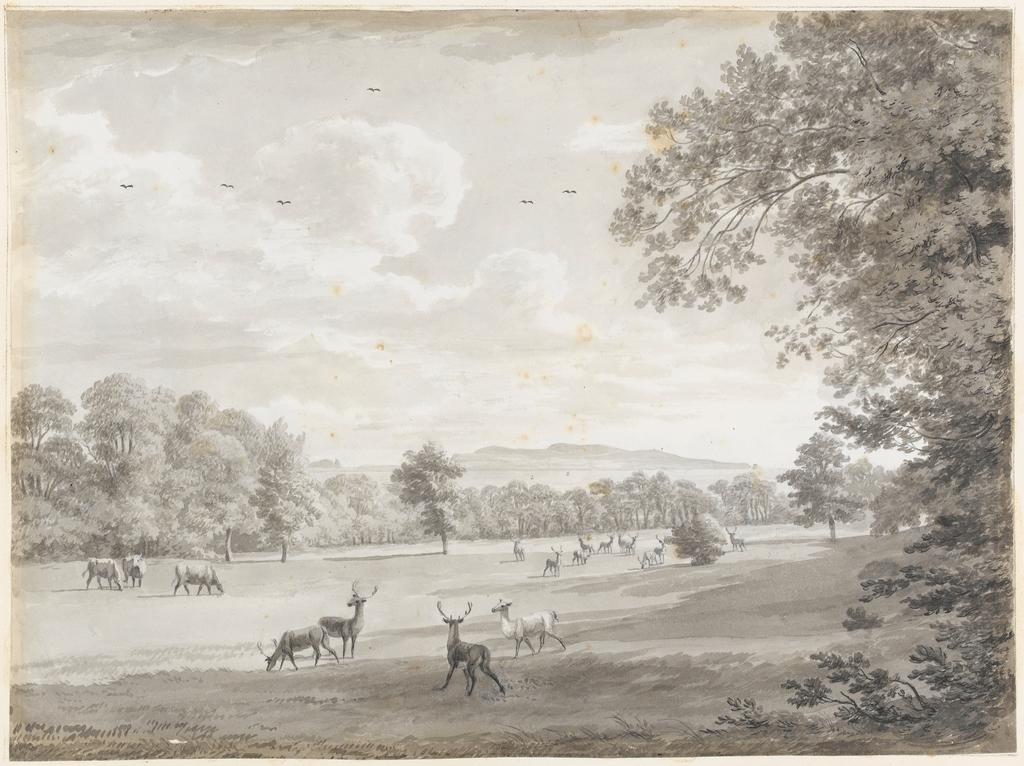 An image of Title/s: Mount Merrion: view near the north terrace of the bay and hill of Howth (pag. 17) Maker/s: Ashford, William (draughtsman) [ULAN info: British artist, 1746-1824]Technique Description: grey wash on paper laid down on hollow mounts and bound with backing sheets Dimensions: height: 320 mm, width: 430 mmDate: 1806  