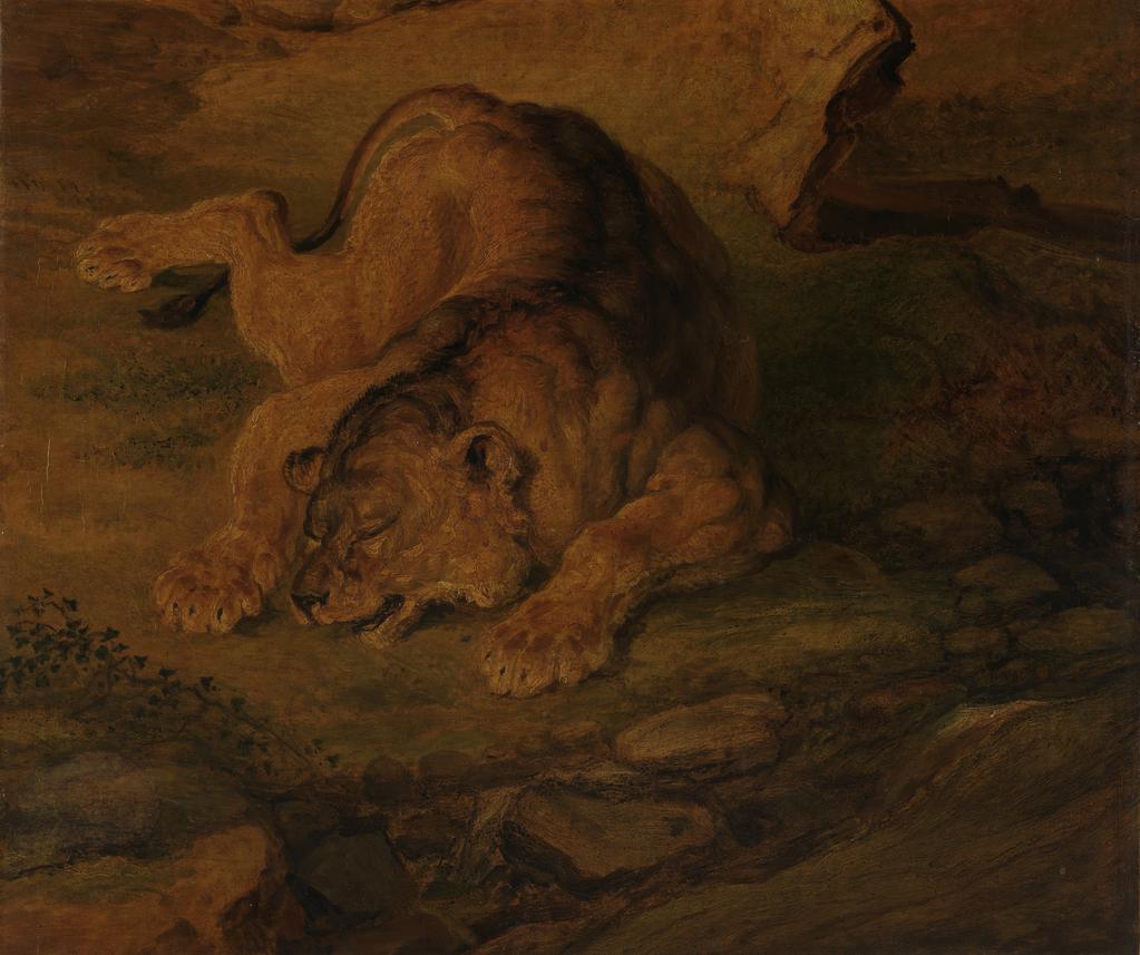 An image of Sleeping lioness. Ward, James (British, 1769-1859). Oil on canvas, height, 38.1, cm, width, 59.1, cm, 1840-1850.