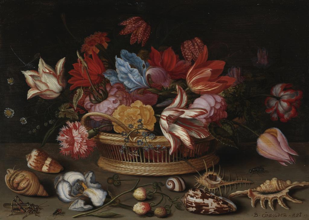 An image of A basket of flowers with shells on a ledge. Ast, Balthasar van der (Dutch, 1593/4-1657). Oil on panel, height 20 cm, width 28.4 cm.