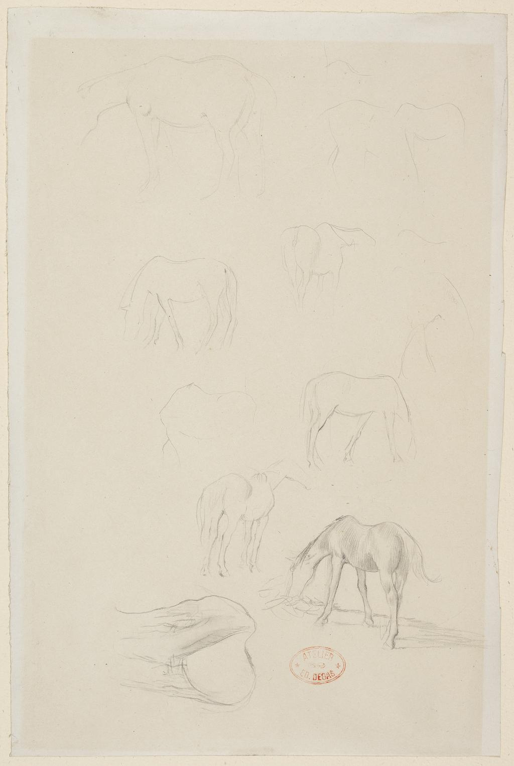 An image of Studies of a pony. Degas, Edgar (French, 1834-1917). Graphite on paper, height 285 mm, width 189 mm, circa 1871. Notes: or perhaps a study for Deux chevaud au Pâturage.