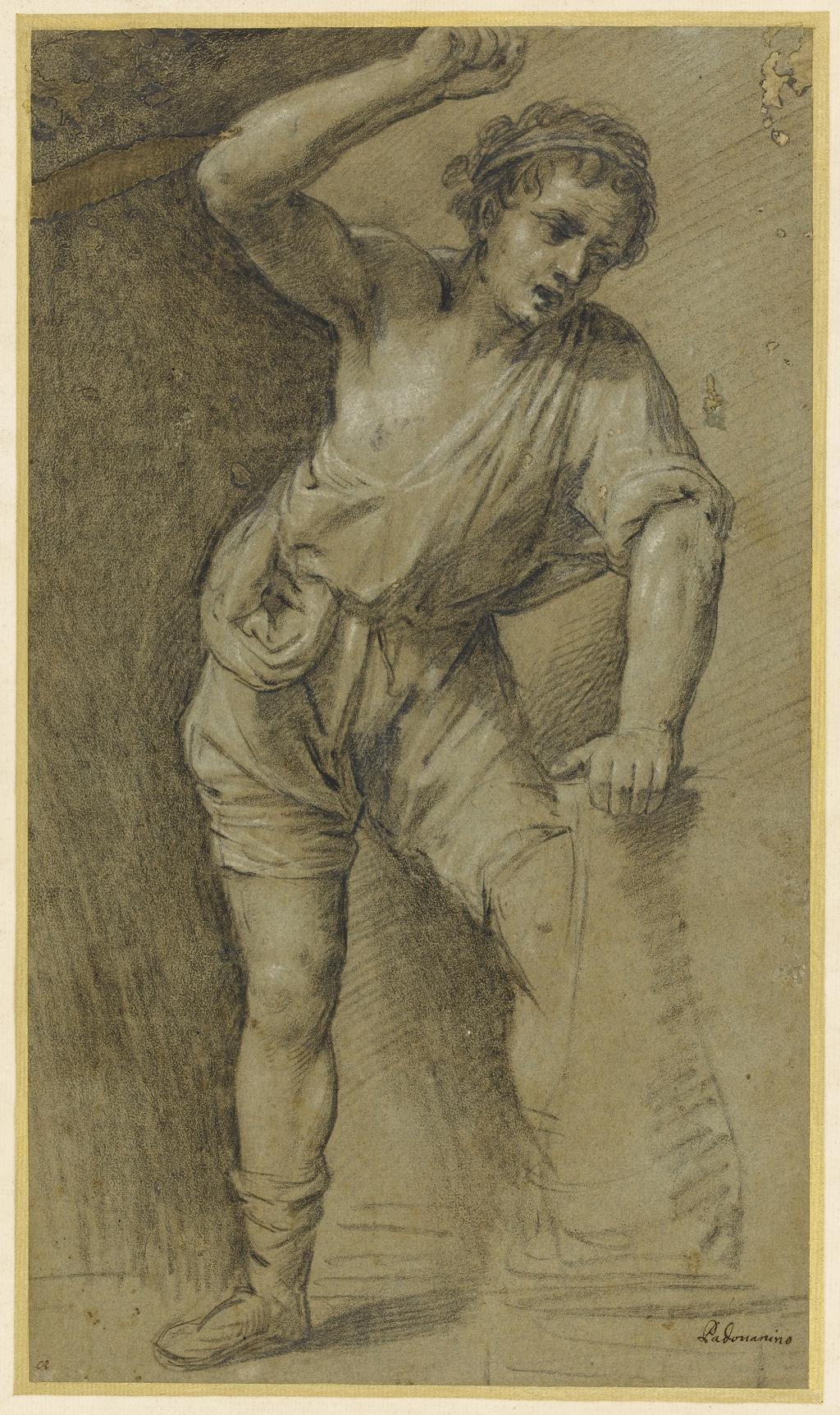An image of Title/s: Study of a youth for a flagellation Maker/s: Leoni, Ottavio Mario attributed to (draughtsman) [ULAN info: Italian artist c.1578-1630]Technique Description: black chalk heightened with white on discloured blue paper Dimensions: height: 389 mm, width: 224 mm