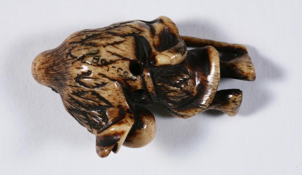 An image of Netsuke. Sennin Chokaro standing and holding a gourd and a walking stick. Unknown maker, Japan. Stag antler, carved, 1800-1900.