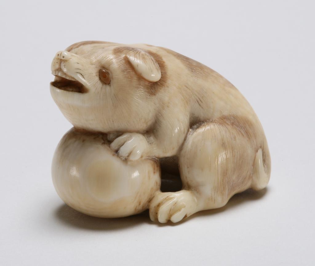 An image of Netsuke. A dog seated with its left paw resting on a ball, its eyes are double glazed with horn. Unknown maker, Japan. Ivory, horn eyes, carved, 1800-1850. Edo period.