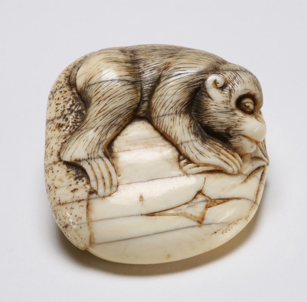 An image of Netsuke. A monkey emerging from a large chestnut. Unknown maker, Japan. Ivory, carved, 1800-1850. Edo period.