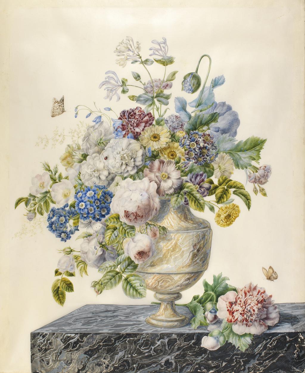 An image of On black and white marble slab a veined vase containing honeysuckle, opium poppy, iris, auricula, campanula, carnation, marigold, wild rose, centifolia rose, cabbage rose, chrysanthemum, dahlia and Japanese anemone. Spaendonck, Cornelis van (Dutch, 1756-1840). Watercolour and bodycolour over graphite outline on vellum, stuck to board, height 747 mm, width 558 mm. Acquisition: bequeathed; 1975; Fairhaven, Henry Rogers Broughton