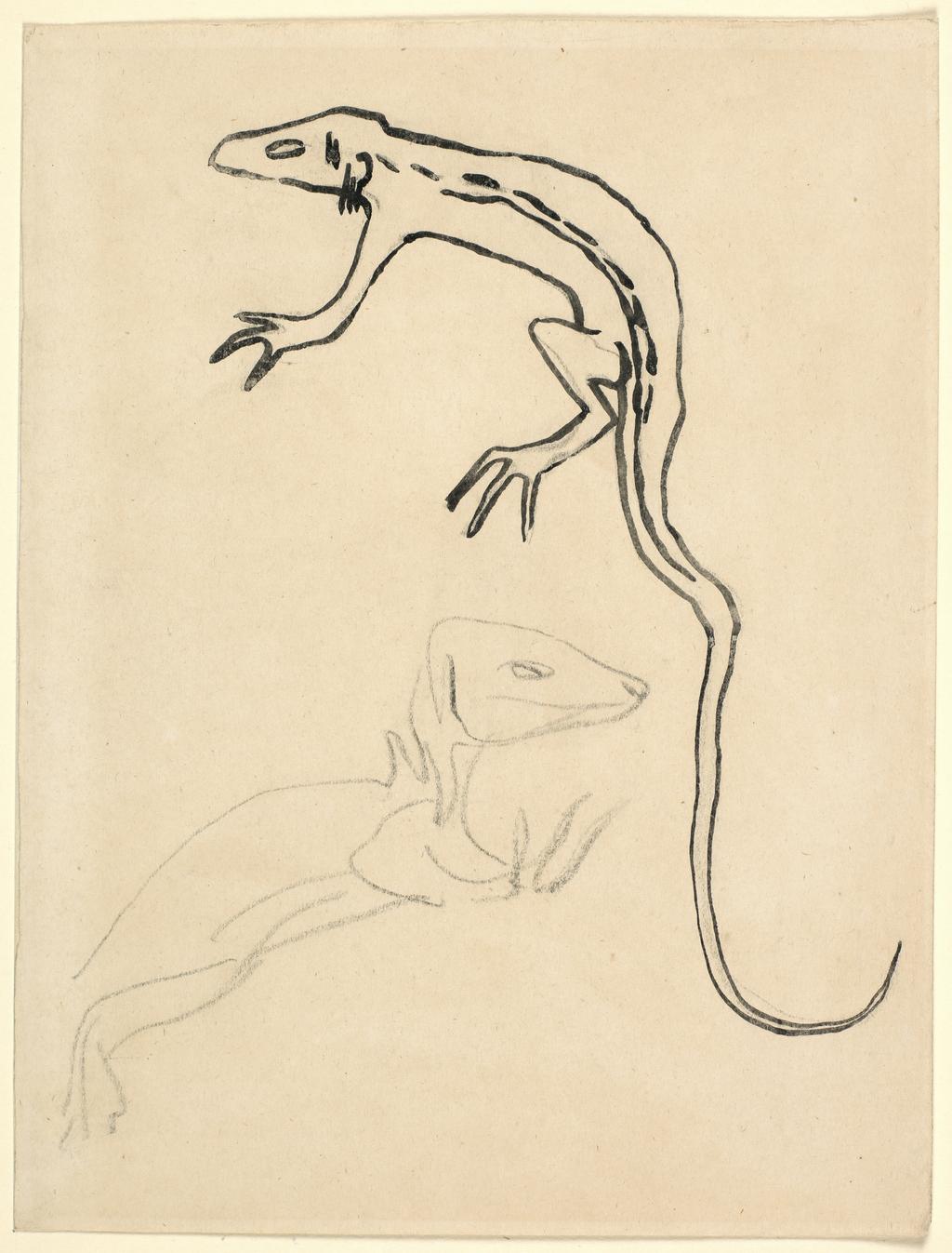 An image of Lizard. Gaudier-Brzeska, Henri (British, 1891-1915). Graphite and ink on grey paper, height 254 mm, width 193 mm.