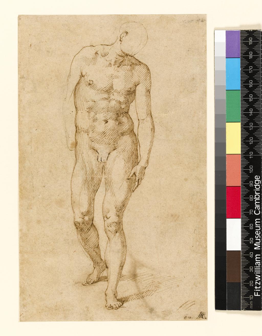 An image of Title/s: Study of a male nude (recto title) 
Maker/s: Bertoja, Giacomo (Giacomo Zanguidi) attributed to (draughtsman) [ULAN info: Italian artist, 1544-1574]
Technique Description: recto: pen and brown ink 
Dimensions: height: 226 mm, width: 132 mm

 

 
