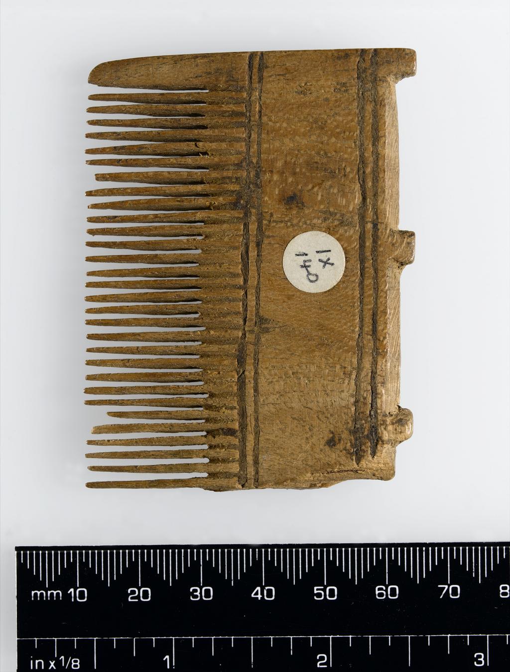 An image of Cosmetic equipment. Comb, broken at one end. Production Place/Find Spot: Egypt. Depth 0.006 m, length 0.07 m, width 0.053 m. New Kingdom.