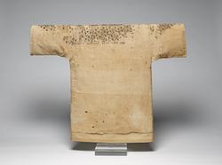 An image of Tunic