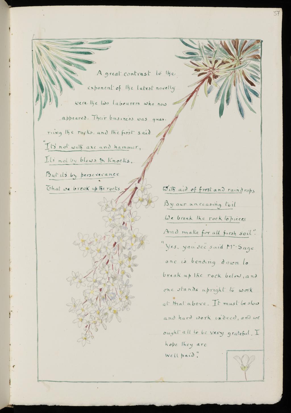 An image of Inscription surrounded by floral border: Saxifraga lingulata Bell. Bicknell, Clarence (British, 1842-1918). Recto: A great contrast to the / exponent of the latest novelty / were the two labourers who now / appeared. Their business was quar- / riing the rocks, and the first said / "It's not with axe and hammer, / It's not by blows & Knocks, / But it's by perseverance / That we break up the rocks. With aid of frost and raindrops / By our unceasing toil / We break the rock to pieces / And make for all fresh soil." / "Yes, you see", said Mr. Sage / one is bending down to / break up the rock below, and one stands upright to work / at that above. It mus be slow / and hard work indeed, and we / ought all to be very grateful. I / hope they are / well paid." Verso: Saxifraga / Aizoon Jacq. Watercolour and graphite on paper, height, leaf, 278 mm, width, leaf, 190 mm, 1914.  From: The Triumph of the Dandelion. Parnessia palustris. Vellum bound sketchbook with white leather closure straps attached to covers. Contains 58 leaves. Front cover bears a roughly square polychrome watercolour design, surrounding the words 'THE DANDELION'. Inside rear cover there is an watercolour and graphite illustration of 'Parnassia palustris L.'