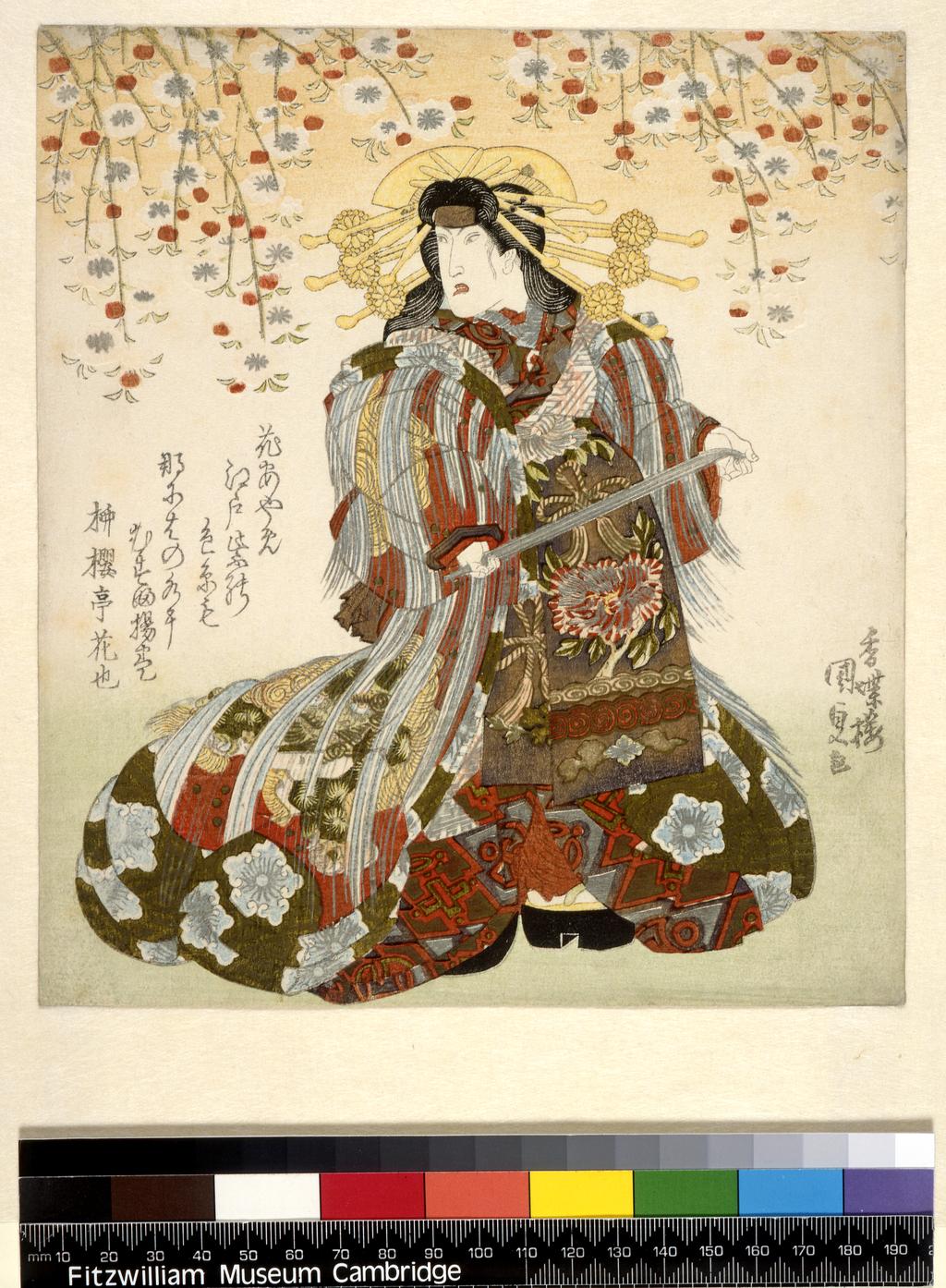An image of Iwai Kumesaburô II as Agemaki in Sukeroku yukari no Edo zakura (Sukeroku’s affinity for the cherry blossoms of Edo). Kunisada, Utagawa (Japanese, 1786-1865). Surimono. Colour prints from woodblocks, with metallic pigment and blind embossing (karazuri). Shikishiban. Signed: Kôchôrô Kunisada ga, with artist’s double toshidama seal (left sheet). Poets: Ryûkatei Fûshi Mizugaki and Ryûôtei Hananari (right) and Ryûôtei Hananari (left). c.1830. Ukiyo-e.  Notes: Two sheets from a set of five showing a scene from one of the Eighteen Plays (Kabuki Jûhachiban) selected by Danjûrô VII as specially associated with the Ichikawa lineage of actors. The missing central sheet shows Danjûrô VII in the role of Sukeroku. The missing outer sheets show the villain Ikyû (right) and the noodle-seller Fukeroku (left). The print was probably made in connection with a performance planned in Osaka for New Year of 1830. The actors’ journey from Edo is reflected in the imagery of the poems. However, Iwai was summoned back to Edo by the city administration (machi-bugyo), as he was being sued by the head of the Ichimura theatre, so the performance could not take place as planned. Sukeroku is in reality Soga no Gorô, while Shimbei the sake seller is actually Gorô’s gentler elder brother, Soga no Jûrô (he wears a costume decorated with the Jûro’s flying-plovers pattern, see P.502-1937). Sukeroku learns that his missing heirloom sword Tomokirimaru is in the possession of Ikyû, the patron of Sukeroku’s secret lover Agemaki, who is a Yoshiwara courtesan. He subsequently wins the sword back in a fight in which Ikkyû is killed, and escapes with the help of Agemaki. A poem on the sheet depicting Kumesaburo alludes to irises, one of the actor’s symbols, while the reference to Edo purple (murasaki) also alludes to the purple headband worn by Sukeroku in this play: ‘Lovely coloured strands of iris flowers, purple as Edo, flow in streams to Naniwa [Osaka] and knot Agemaki