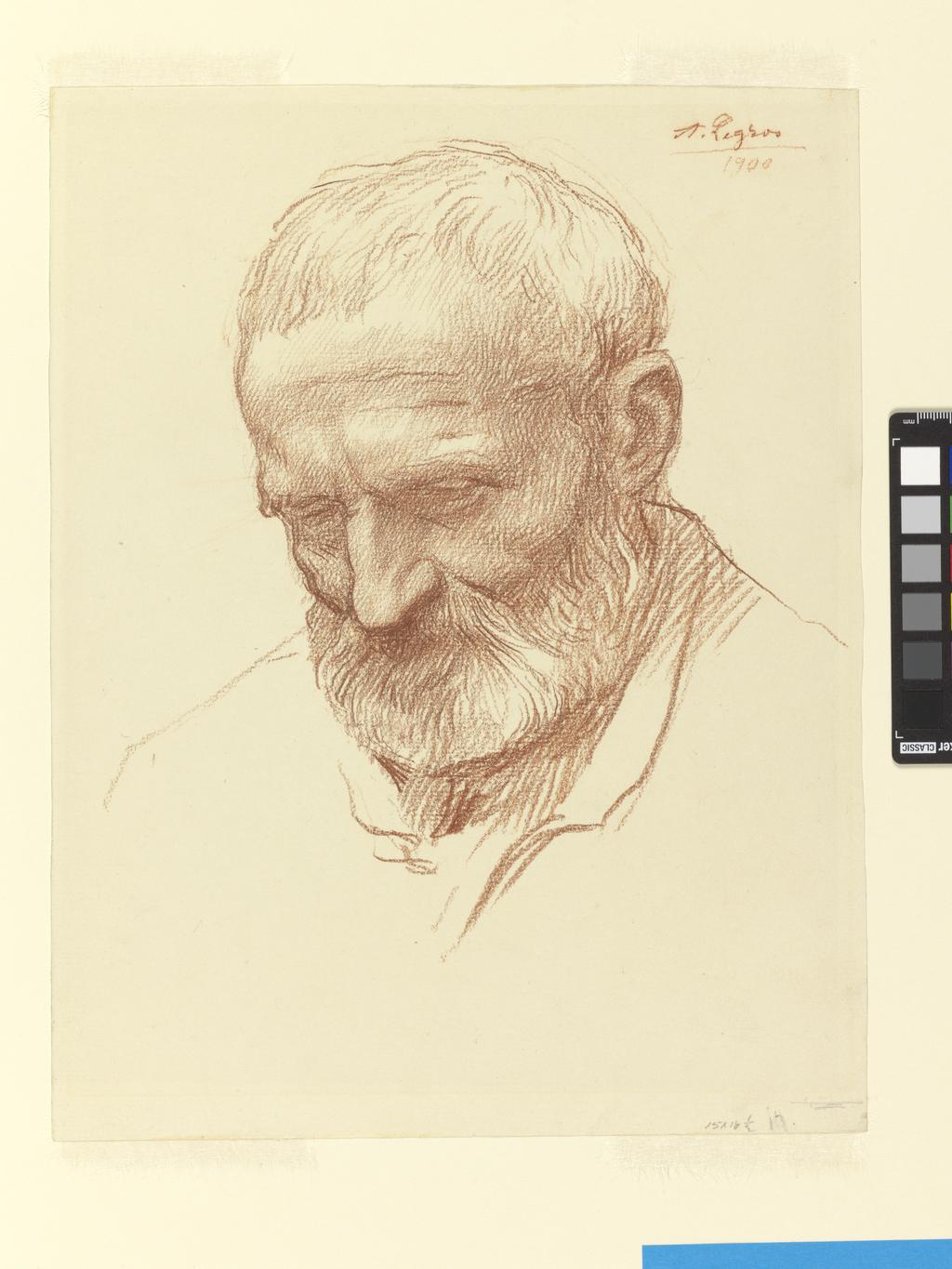 An image of Head of an old man. Legros, Alphonse (French, 1837-1911). Red chalk on paper, height, sheet, 305, mm, width, sheet, 235, mm, 19th century. Sir Ivor and Lady Batchelor Bequest.
