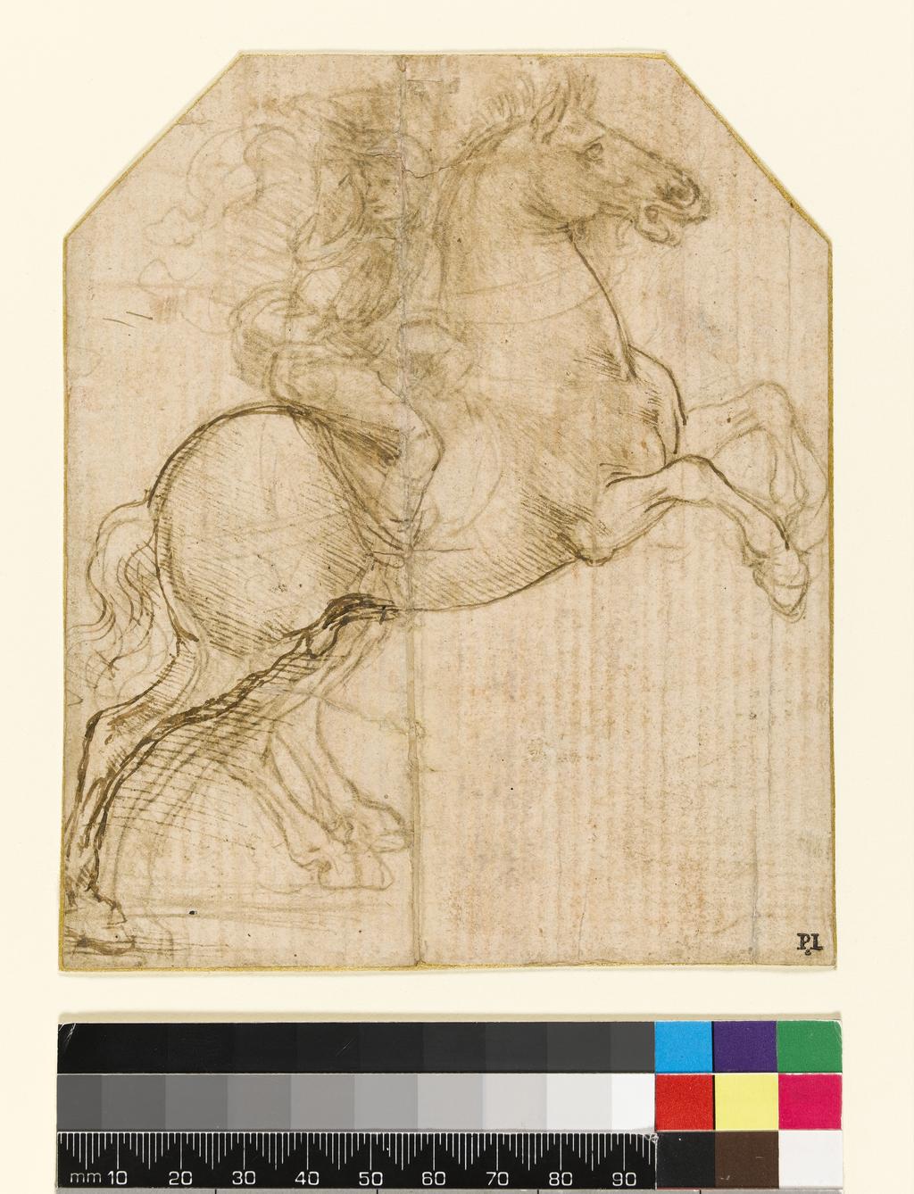 An image of A rider on a rearing horse. Leonardo da Vinci (Italian, 1452-1519). Metalpoint reinforced with pen and brown ink on a pinkish prepared surface, height 141 mm, width 119 mm. Not before 1481. Acquired from the Trustees of Colonel Norman R. Colville, deceased, by Private Treaty Sale from the Gow, Cunliffe, Leverton Harris, Perrins and Reitlinger funds, with a contribution from The Art Fund, The National Lottery through the Heritage Lottery Fund and a grant from the Pilgrim Trust, with contributions from Mrs Monica Beck, David Scrase and an anonymous donor, 1999.