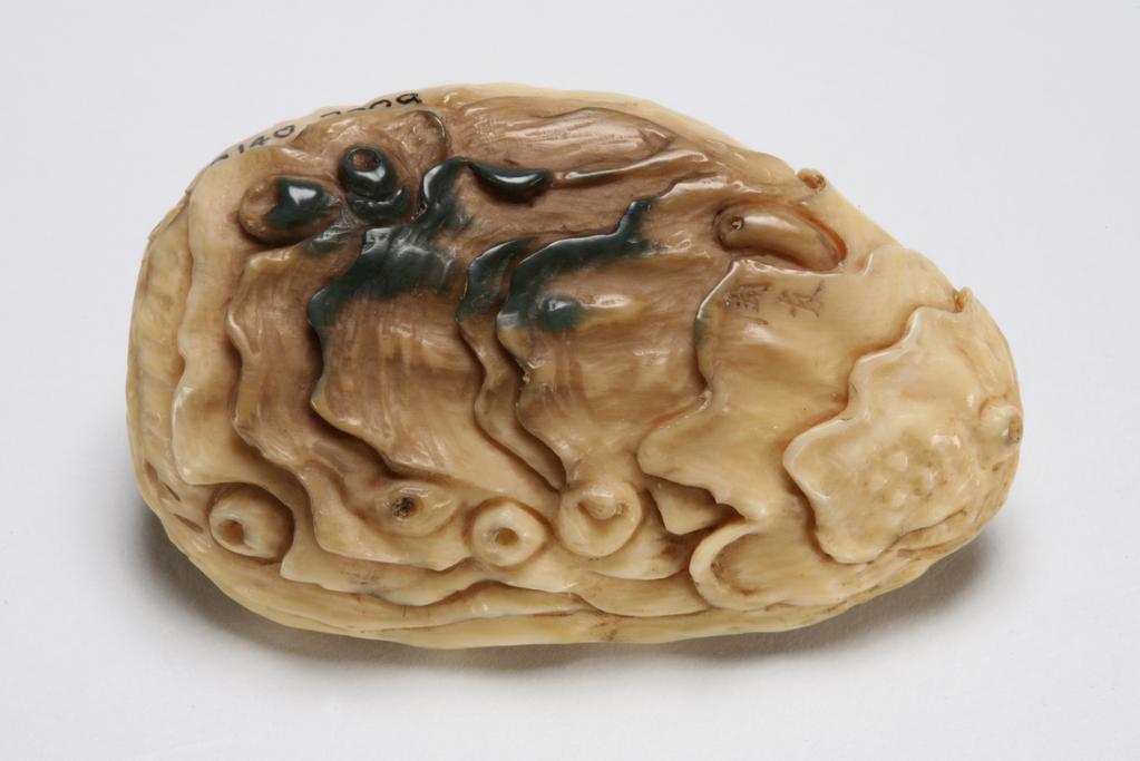 An image of Netsuke. A flock of swallows flying over a clam shell covered with nine barnacles. Unknown maker, Japan. Ivory, all the eyes are inlaid with horn.