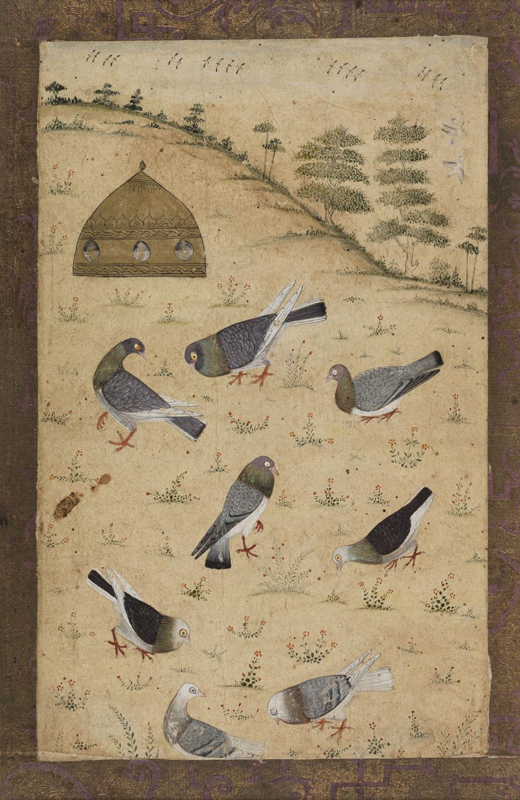 An image of Eight pigeons and a pigeon-cote on a hillMogul School