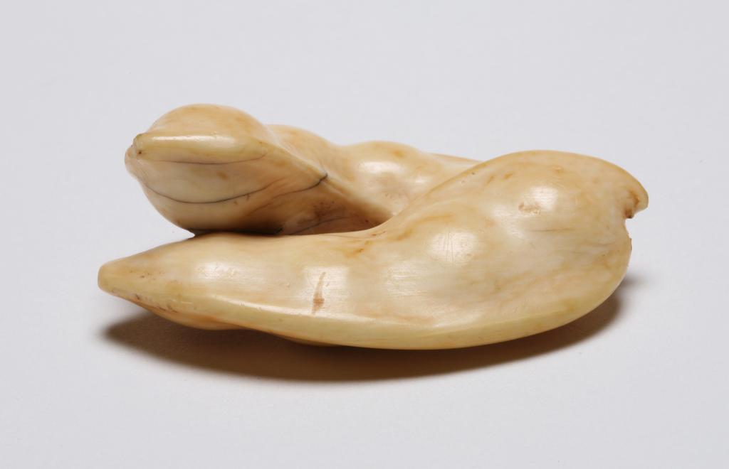 An image of Netsuke. Unknown maker, Japan. Two pea pods. Ivory, carved, 1800-1900.