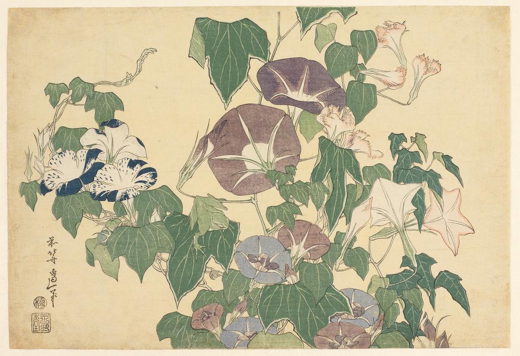 An image of Convolvulus and Tree-frog. Ukiyo-e. Hokusai, Katsushika, (Japanese, 1760-1849). Colour print from woodblocks, from the untitled series of ten prints published by Nichimuraya Yohachi (Eijûdo). Signed: zen Hokusai Iitsu hitsu, publisher’s mark Eijûdo, censor’s seal: kiwame. Woodcut, colour printing, circa 1832. Notes: From the rare untitled series of flower prints published by Nishimuraya Yohachi (c.1833-34) known as the ‘Large flowers’. Each print in the series features a flower and an insect (frogs and other amphibians were classified as insects). Hokusai was probably influenced and inspired by Utamaro’s great trio of natural history books on the themes of insects, birds and shells. Utamaro’s books, with their playful comic verse, may also have prompted the humour evident in this print, where the eye has to search before finding the frog. The series is very rare: only two complete sets are known to survive, and only around a handful of impressions of each individual print. The Fitzwilliam’s impression of Convolvulus and Tree-frog is outstanding in condition; other surviving impressions are typically faded, with the flowers that are purple in this impression faded to red, and those that are pale blue faded to grey. This indicates that both these colours contain the pigment dayflower blue (tsuyugasa), probably the most fugitive of all pigments used for prints in the Edo period: very few prints survive with this pigment intact.