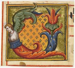 An image of Cutting (manuscript)