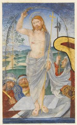 An image of Cutting (manuscript)