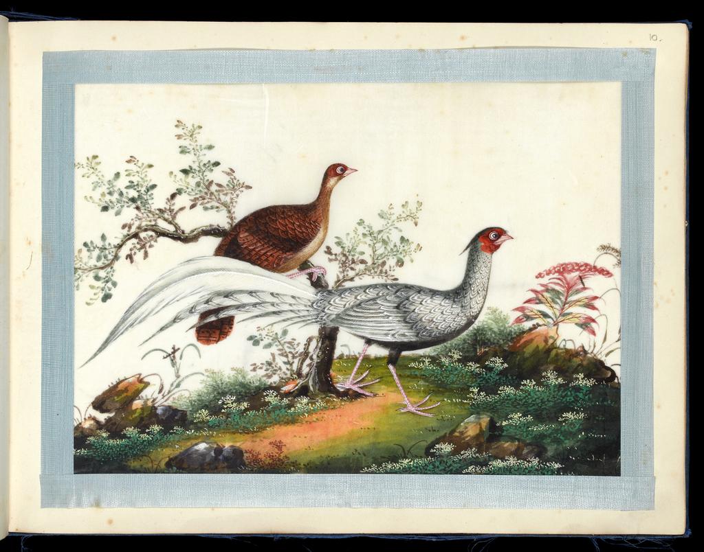 An image of Album of assorted subjects. Unknown maker. Album containing 46 watercolours on pith paper. Production Place: Guangzhou, Historically known as Canton. Height 260 mm, width 355 mm, 19th century. Chinese.