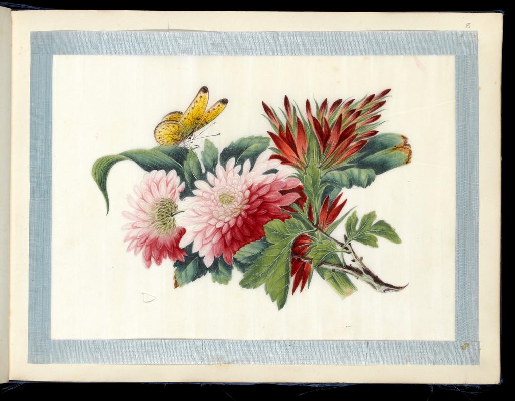An image of Album of assorted subjects. Unknown maker. Album containing 46 watercolours on pith paper. Production Place: Guangzhou, Historically known as Canton. Height 260 mm, width 355 mm, 19th century. Chinese.