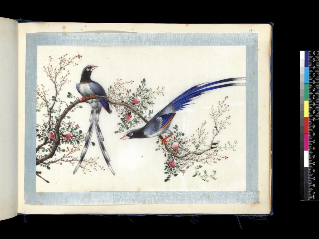 An image of Album of assorted subjects. Unknown maker. Album containing 46 watercolours on pith paper. Production Place: Guangzhou, Historically known as Canton. Height 260 mm, width 355 mm, 19th century. Chinese.