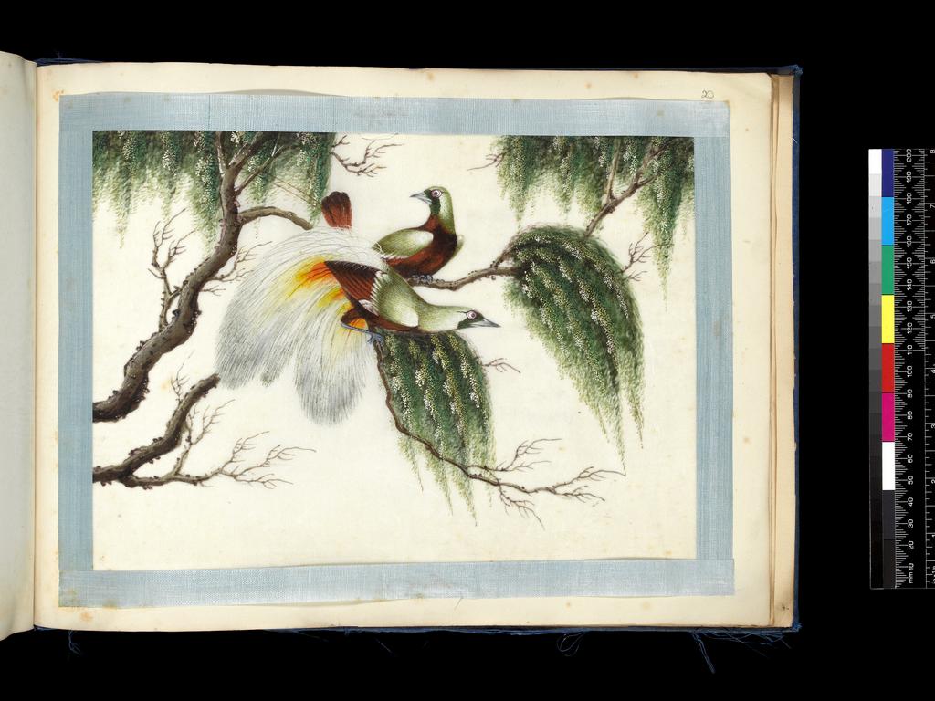 An image of Album of assorted subjects. Unknown maker. Album containing 46 watercolours on pith paper. Production Place: Guangzhou, Historically known as Canton. Height 260 mm, width 355 mm, 19th century. Chinese.