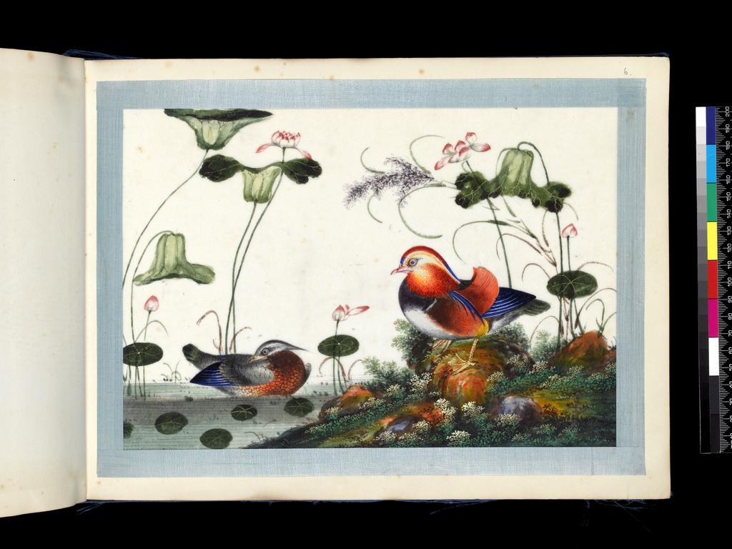 An image of Album of assorted subjects. Unknown maker. Album containing 46 watercolours on pith paper. Production Place: Guangzhou, Historically known as Canton. Height 260 mm, width 355 mm, 19th century. Chinese.