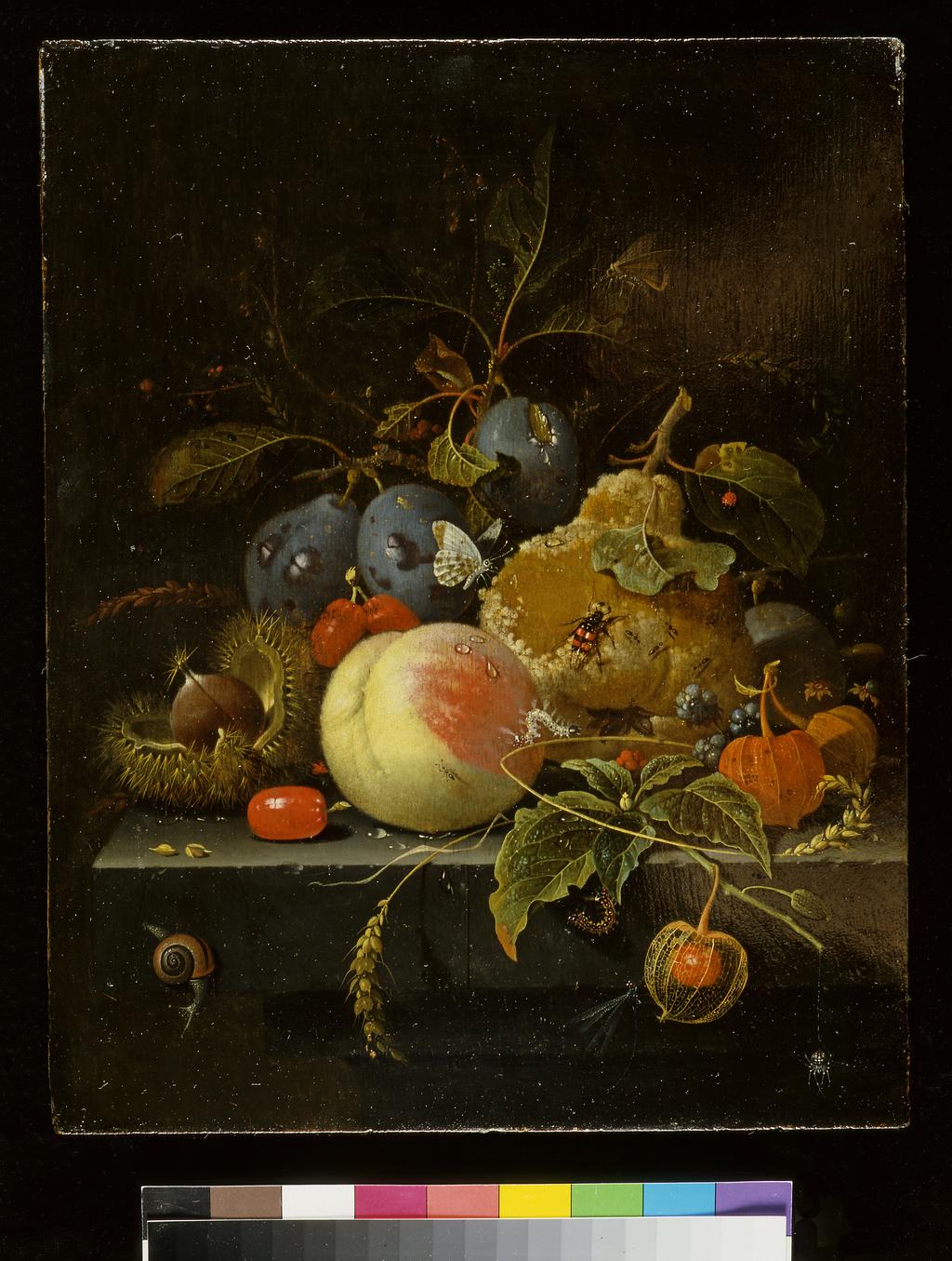 An image of Still-life: fruit and nuts on a stone ledge. Mignon, Abraham (German, 1640-1679). Oil on panel, height 34 cm, width 27 cm.