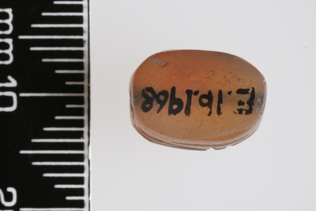 An image of Uninscribed scarab. Production Place/Find Spot: Egypt. Length 0.0115 m. Eighteenth Dynasty.