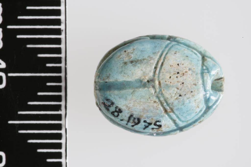 An image of Scarab. Inscribed, with 'Mayor (haty-a) Dja'. Production Place/Find Spot: Egypt. Depth 0.0045 m, length 0.0135 m, width 0.0095 m, 1600-1501 B.C. New Kingdom. Eighteenth Dynasty.